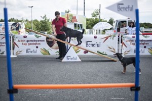 Pause für den Hund auf Reisen. Foto: Mobil in Deutschland e. V.
