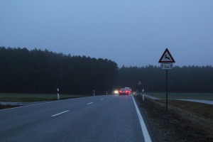 In der Dämmerung steigt die Gefahr von Wildunfällen. Auf Straßenabschnitten mit Warnschildern sollte man besonders vorsichtig fahren. Foto: ARCD.